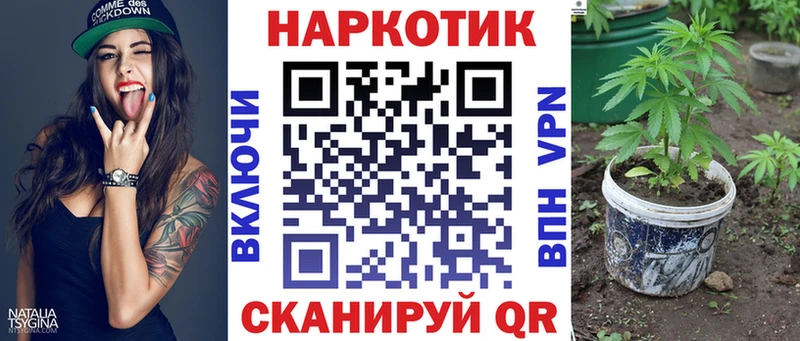Меф Курск
