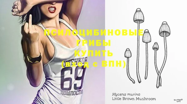 apvp Абинск