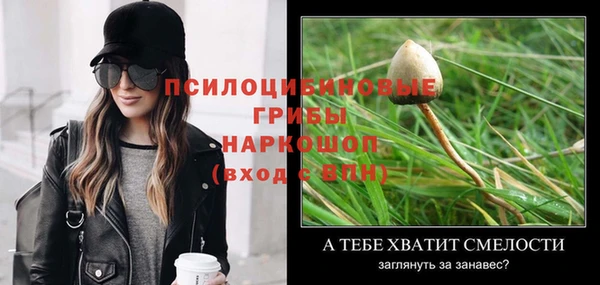 гашик Абдулино