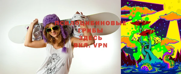 прущая мука Абаза