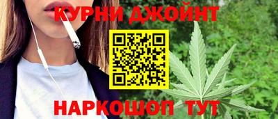 шишки Сланцы