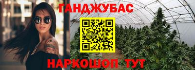 шишки Бердск