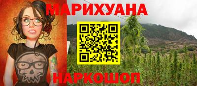 шишки Сланцы