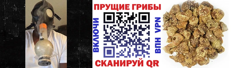Галлюциногенные грибы прущие грибы  Курск 