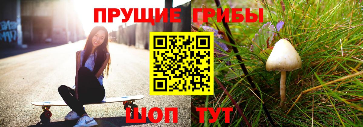Псилоцибиновые грибы Psilocybine cubensis  Вход с VPN  Курск 