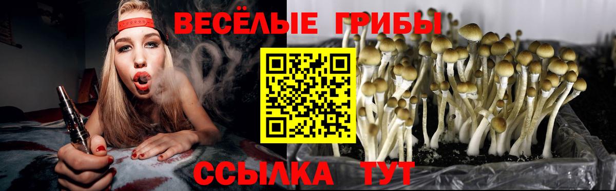 Псилоцибиновые грибы мухоморы Курск